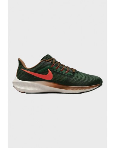 Nike - Air Zoom pegasus 39 A.I.R. Hola Lou sélection de produits